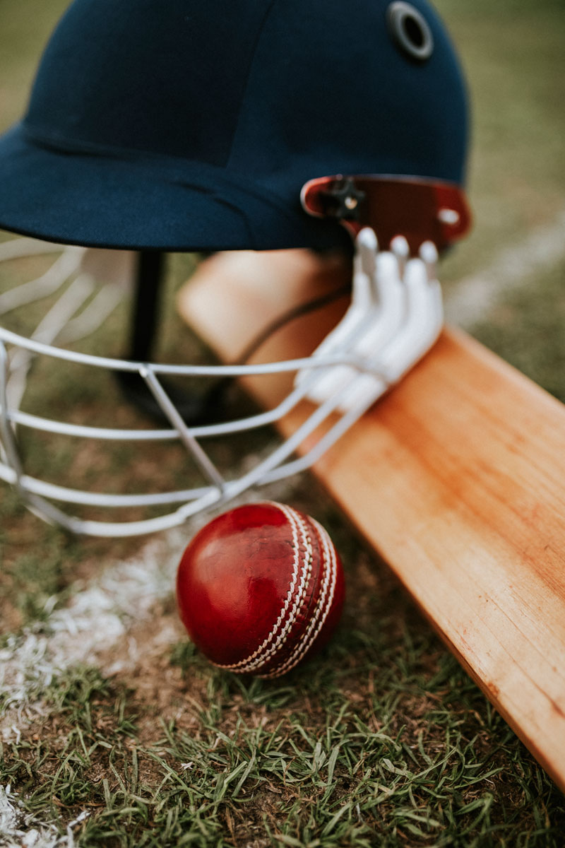 Cricket